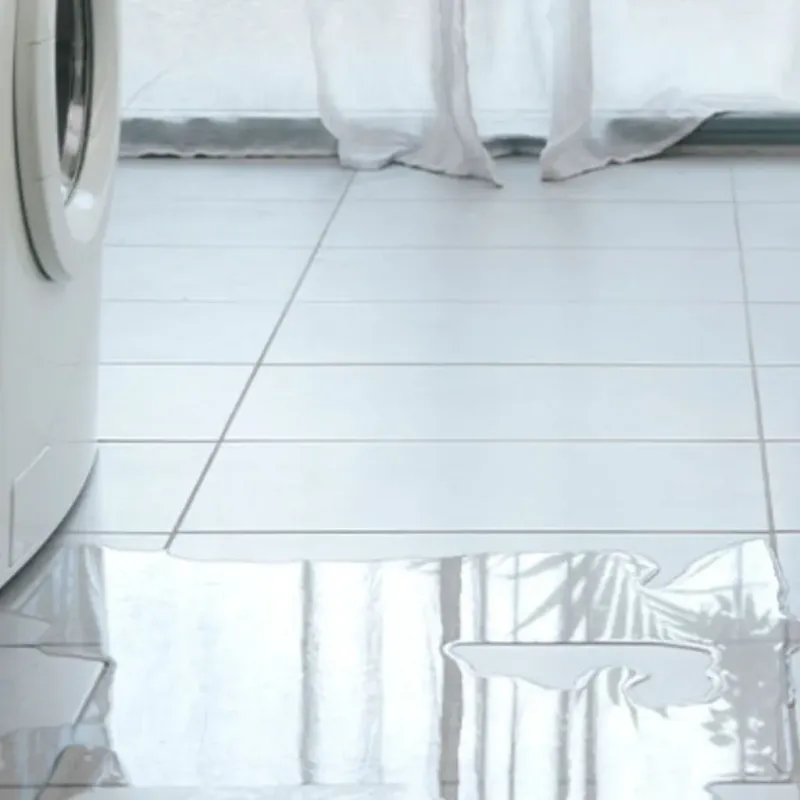 Appliance Leak Cleanup in Shively, KY