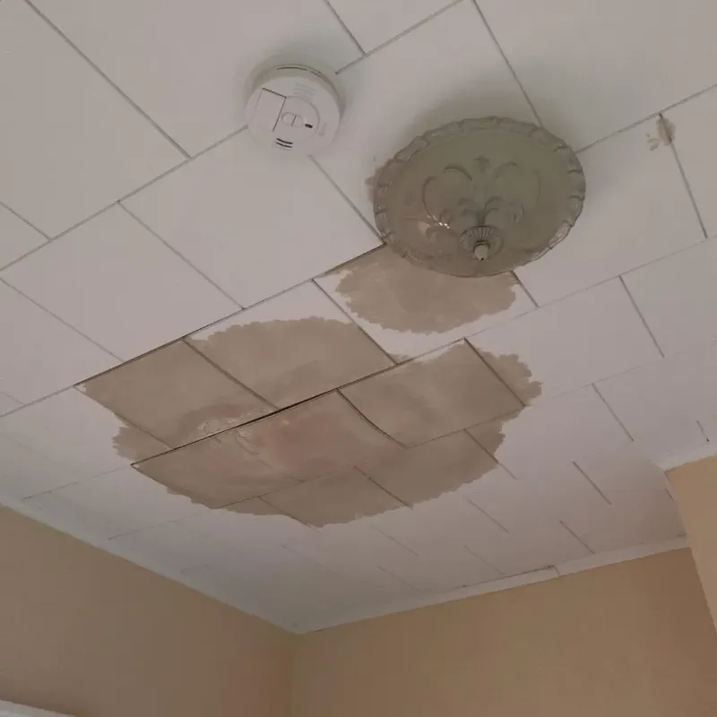 Ceiling Water Damage Repair in Shively, KY