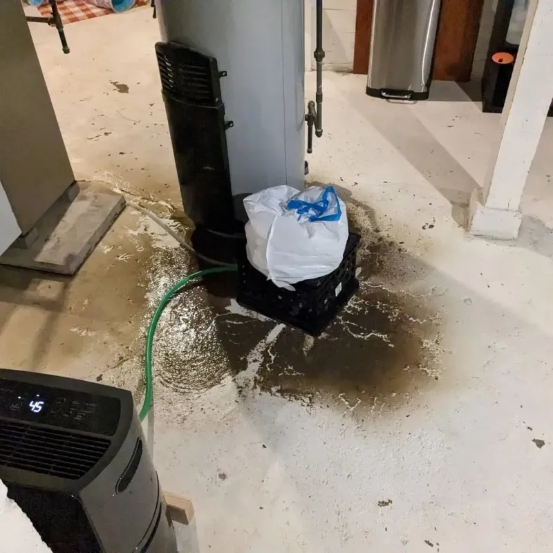 Sewage Backup Cleanup Service in Shively, KY